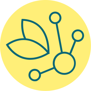 Kreisförmiges gelbes Symbol mit türkisfarbenen Blattformen und einer einfachen Molekularstruktur, das die Pflanzenbiologie oder botanische Forschung symbolisiert.